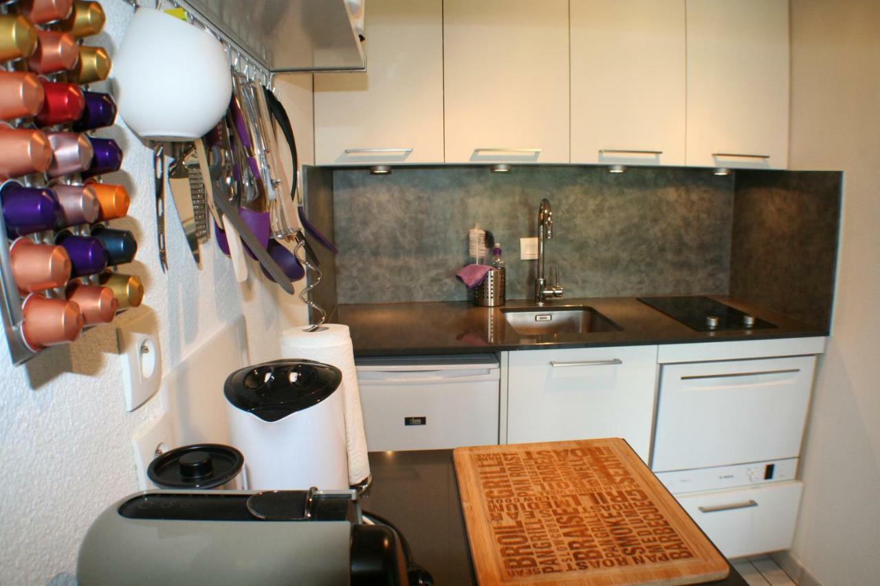 Apartplage Saint-Jorioz Eksteriør billede